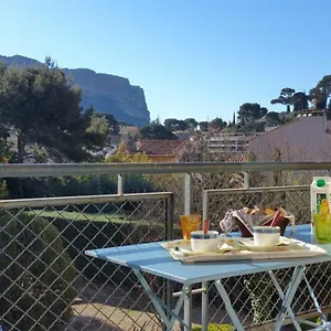 Le Mimosa Cassis